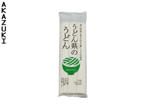 Nouilles udon